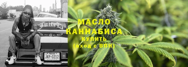 индика Касимов