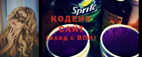 индика Касимов