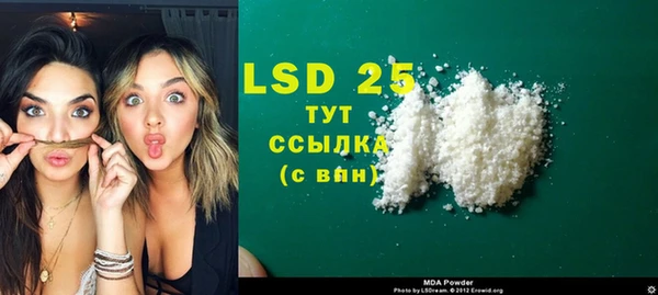 индика Касимов