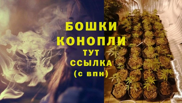 индика Касимов