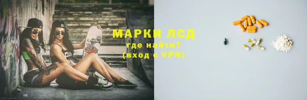 индика Касимов