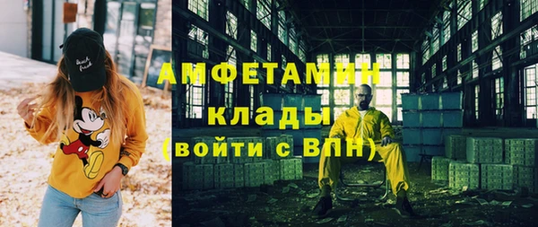 индика Касимов