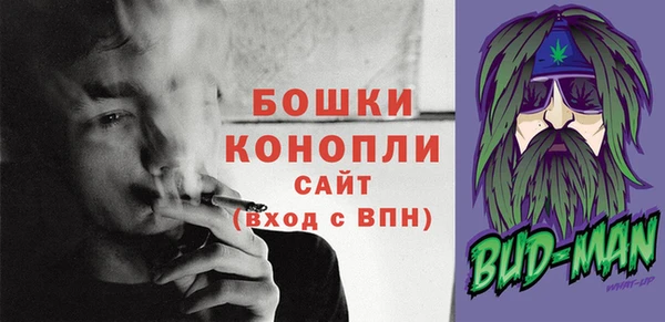 индика Касимов