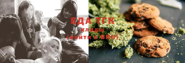 индика Касимов